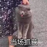 这条路禁止非机动车行驶