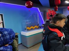 -陕西科学技术馆