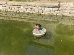 -三里河公园