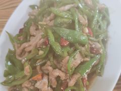 青椒肉丝-胖子川香