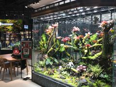 -红星美凯龙北京至尊MALL(东四环中路店)