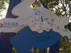 -广东惠东海龟国家级自然保护区