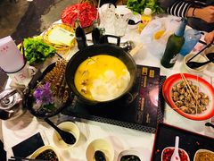 -鲜入围煮花胶鸡海鲜火锅