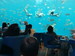 -瑞德姆美人鱼海底演艺主题餐厅(亚龙湾店)