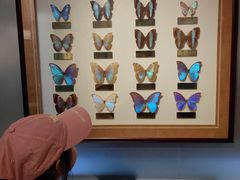 -上海昆虫博物馆