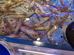 -澜悦港海鲜体验主题餐厅