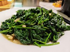 炒地瓜藤-富黎华海鲜大酒楼(正大广场店)