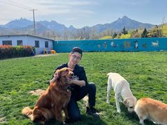 -趣玩宠物乐园寄养训犬训狗游泳池