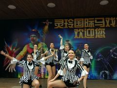 -灵玲国际马戏城