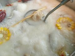 -新草堂锅物料理(泉城路店)