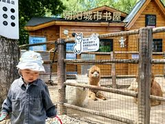 -禧宴Joyous Restaurant(禧园店)