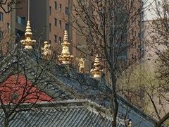-护国法轮寺