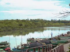 -东寨港红树林旅游区