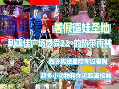 -正佳雨林生态植物园