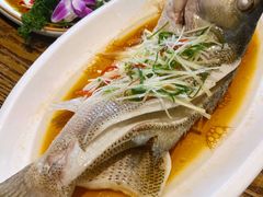蒸鲈鱼-大鸽饭(马王堆店)