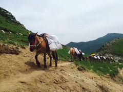 -北京灵山风景区