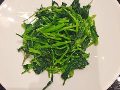 -丰收日(杨浦公园店)