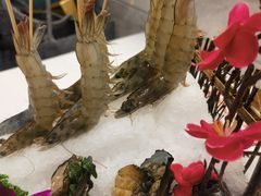 -德天肥牛海鲜火锅(龙吟坊店)