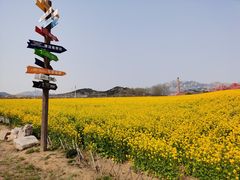 -西海岸生态观光园