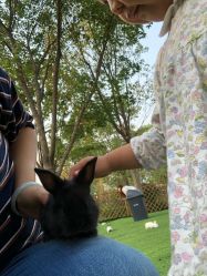 -萌宠亲子动物乐园(槐房万达店)