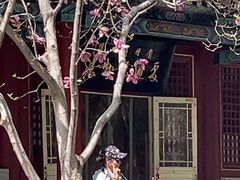 -潭柘寺景区