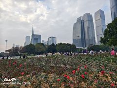 -海心沙亚运公园