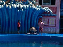 -华夏文旅海洋公园