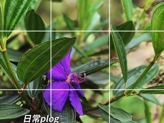 -火炉山森林公园