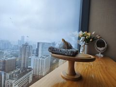 -鹿屿DIY烘焙·公司团建·生日会包场(广州东站店)