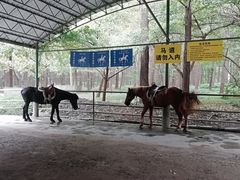 -共青国家森林公园-售票处