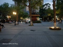 -文瀛公园