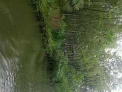 android_upload_pic-同里国家湿地公园