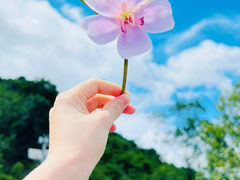-马峦山郊野公园