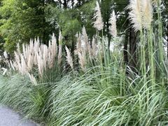 -前小桔亲子创意农场·草莓采摘·露营烧烤