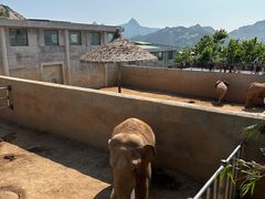 -西霞口神雕山野生动物世界