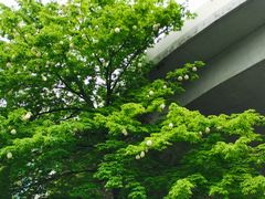 -荔湾湖公园