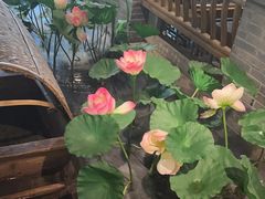 -紫腾大院·南京菜(江宁店)