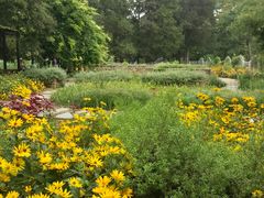 -国家植物园南园