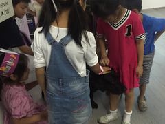-证大喜玛拉雅中心