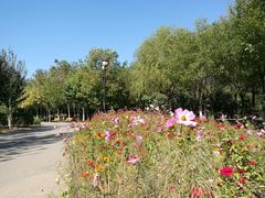 -永定河休闲森林公园