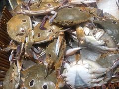 -吉布鲁牛排海鲜自助(假日国际店)