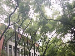 -四川大学(望江校区)