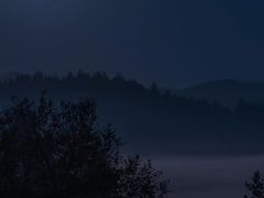 -武汉两江游览·夜游长江(汉口粤汉码头)