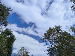 -黑龙江省森林植物园