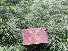 -上海吴淞炮台湾国家湿地公园