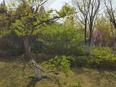 -华山风景区-华阳宫