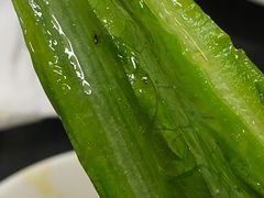 -红姐重庆火锅(曙光路店)