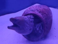 -沙沙哗啦海洋馆(华宇百花谷店)