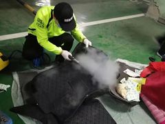 -绿色亿家除甲醛机构