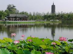 -西海子公园